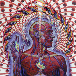 Group logo of Lateralus: the Hemisphere Hypothesis and Art